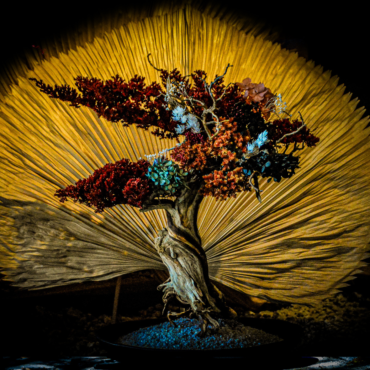 TOP – 再生盆栽アートの通販|WITHERS BONSAI