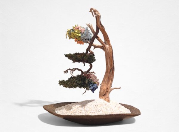 【WITHERS BONSAI】盆栽アート”枯れた盆栽の再生” S25401