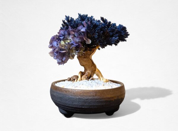 【WITHERS BONSAI】盆栽アート”枯れた盆栽の再生” S25605
