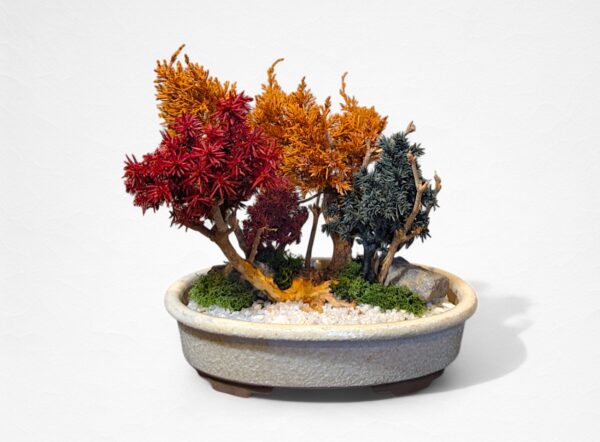 【WITHERS BONSAI】盆栽アート”枯れた盆栽の再生” S25613