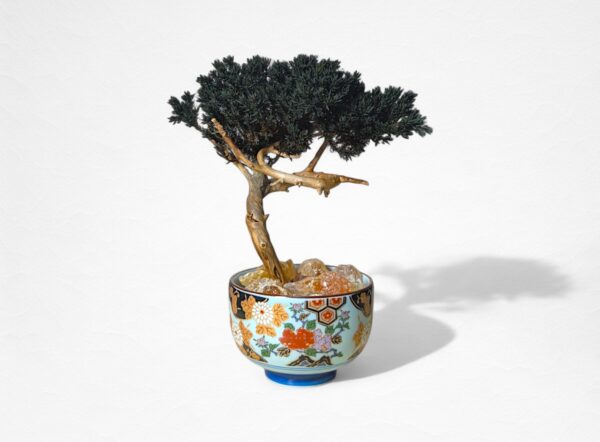 【AROMA BONSAI】盆栽アート”枯れた盆栽の再生” S25901