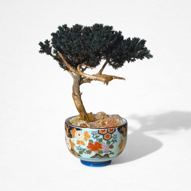 【AROMA BONSAI】盆栽アート"枯れた盆栽の再生" S25901