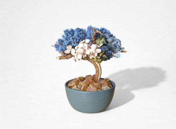 【AROMA BONSAI】盆栽アート”枯れた盆栽の再生” S25903