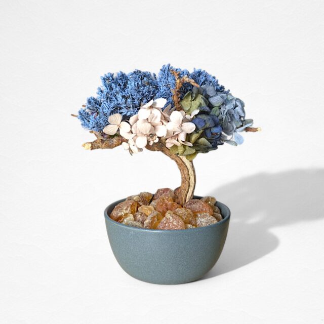 【AROMA BONSAI】盆栽アート"枯れた盆栽の再生" S25903