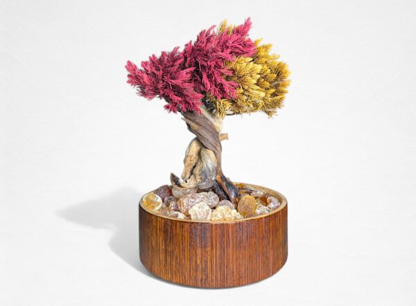 【AROMA BONSAI】盆栽アート”枯れた盆栽の再生” S25904