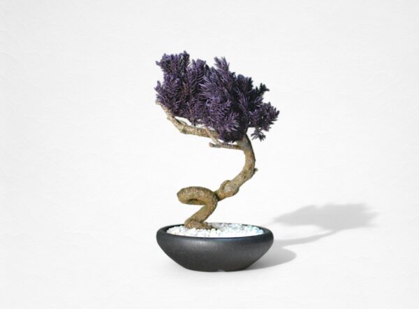 【WITHERS BONSAI】盆栽アート”枯れた盆栽の再生” S25916