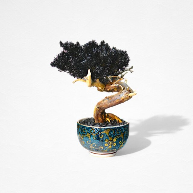 【WITHERS BONSAI】盆栽アート"枯れた盆栽の再生" S25927